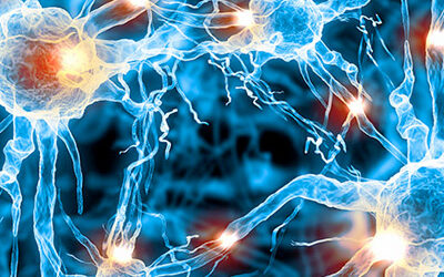 Hormone Health and Longevity: Why HRT is Becoming a Wellness Trend